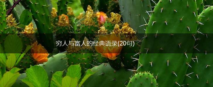 穷人与富人的经典语录(20句),第1张