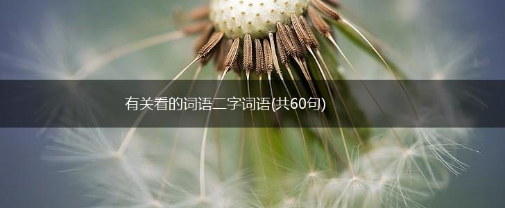 有关看的词语二字词语(共60句),第1张