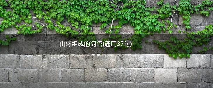 由然组成的词语(通用37句),第1张