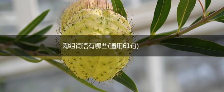 陶组词语有哪些(通用61句),第1张 陶组词语有哪些(通用61句),第1张