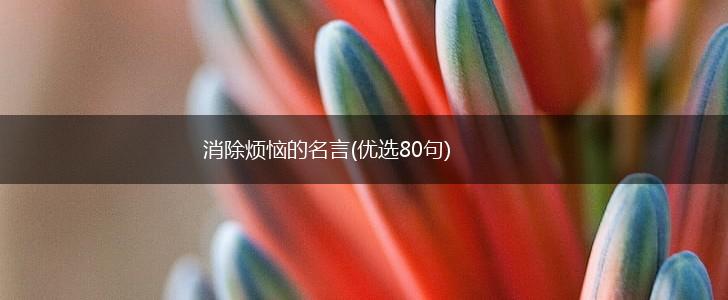 消除烦恼的名言(优选80句),第1张