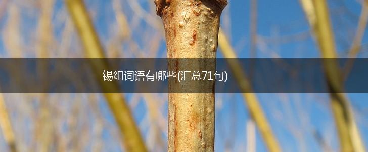 锡组词语有哪些(汇总71句),第1张 锡组词语有哪些(汇总71句),第1张