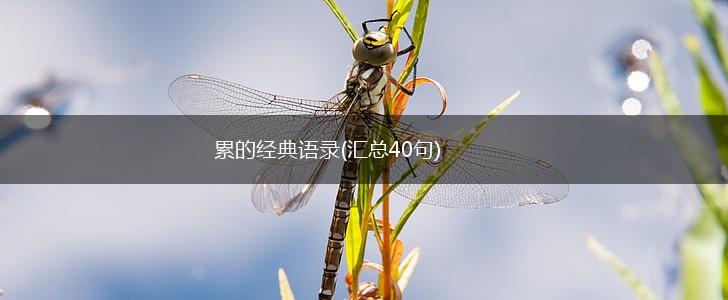 累的经典语录(汇总40句),第1张