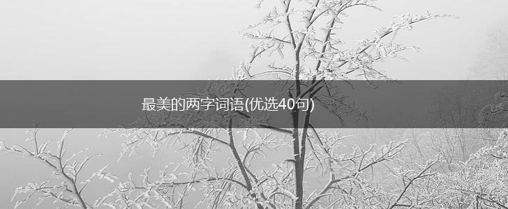 最美的两字词语(优选40句),第1张