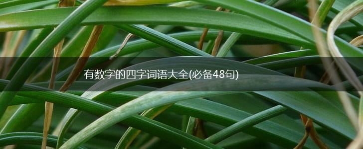 有数字的四字词语大全(必备48句),第1张