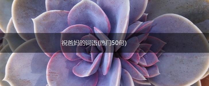 祝爸妈的词语(热门50句),第1张