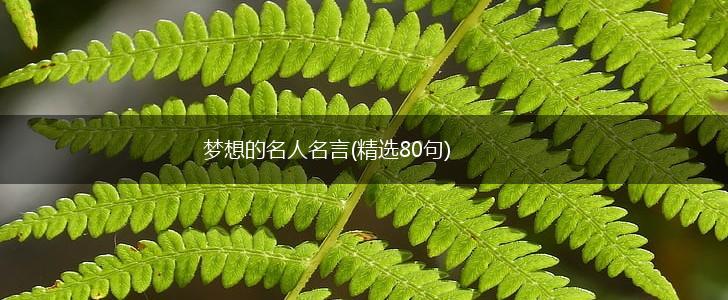 梦想的名人名言(精选80句),第1张