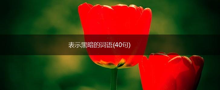 表示黑暗的词语(40句),第1张