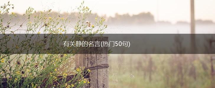 有关静的名言(热门50句),第1张