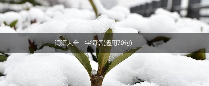 词语大全二字词语(通用70句),第1张