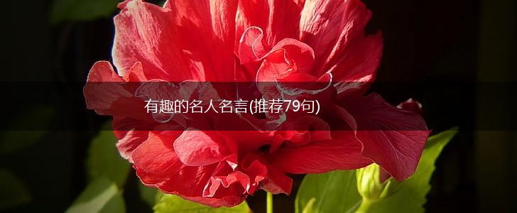 有趣的名人名言(推荐79句),第1张