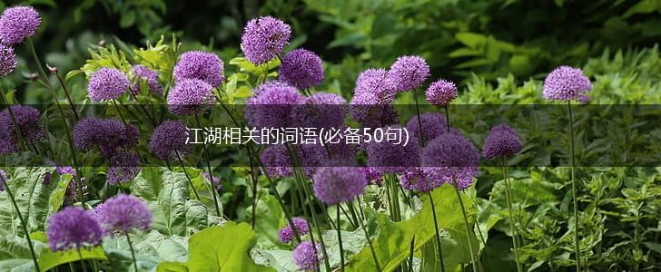 江湖相关的词语(必备50句),第1张