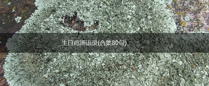 生日鸡汤语录(合集80句),第1张