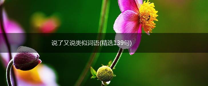 说了又说类似词语(精选139句),第1张