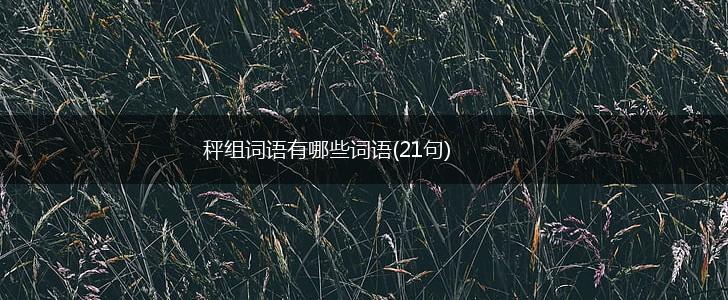 秤组词语有哪些词语(21句),第1张