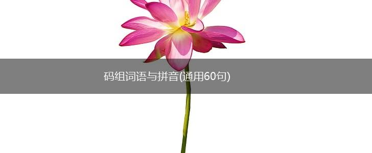 码组词语与拼音(通用60句),第1张 码组词语与拼音(通用60句),第1张