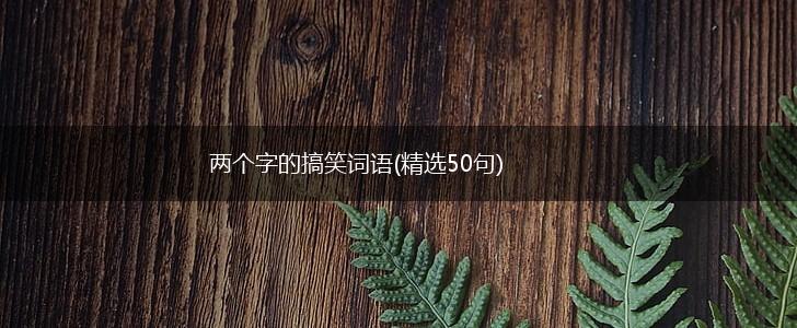 两个字的搞笑词语(精选50句),第1张