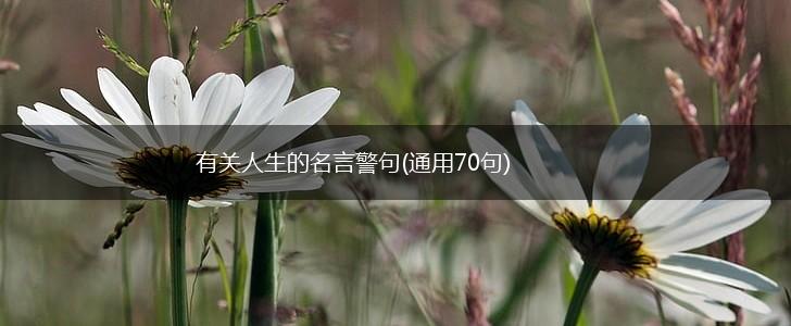 有关人生的名言警句(通用70句),第1张