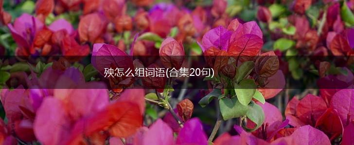 殃怎么组词语(合集20句),第1张