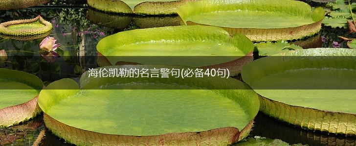 海伦凯勒的名言警句(必备40句),第1张