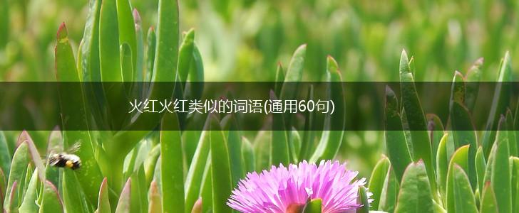 火红火红类似的词语(通用60句),第1张