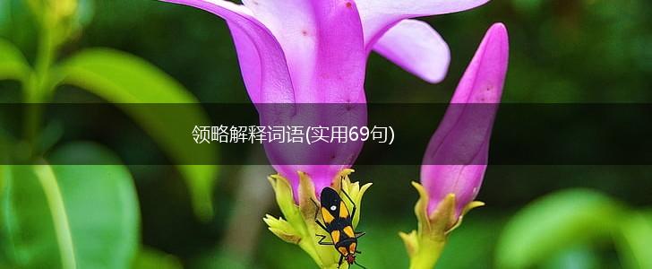 领略解释词语(实用69句),第1张