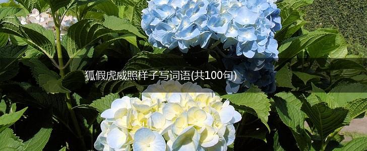 狐假虎威照样子写词语(共100句),第1张