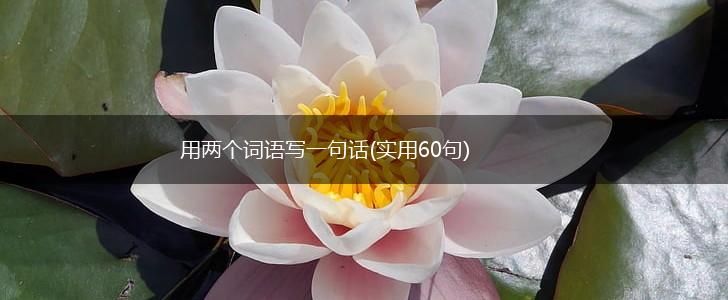 用两个词语写一句话(实用60句),第1张 用两个词语写一句话(实用60句),第1张