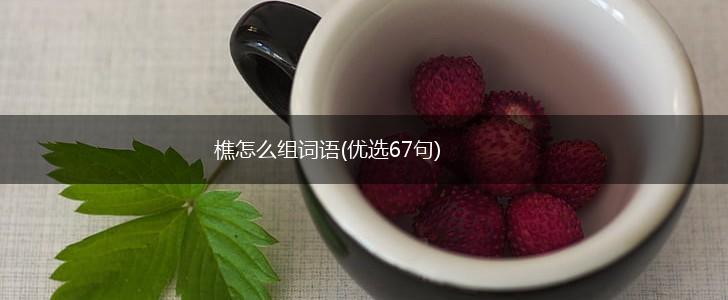 樵怎么组词语(优选67句),第1张 樵怎么组词语(优选67句),第1张