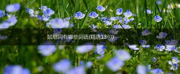 鼠组词有哪些词语(精选13句),第1张