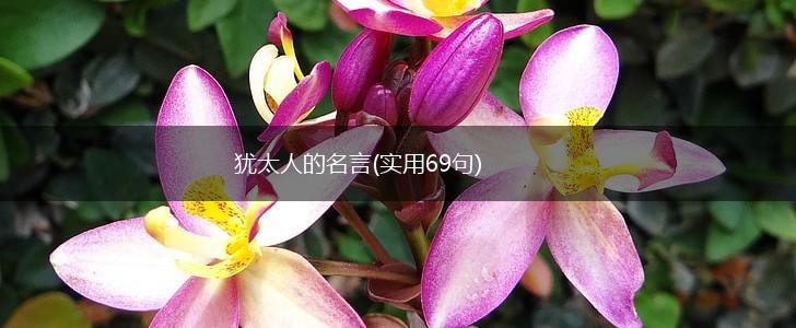 犹太人的名言(实用69句),第1张