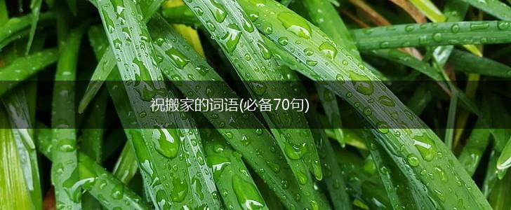祝搬家的词语(必备70句),第1张