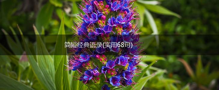 简短经典语录(实用68句),第1张