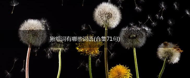 揪组词有哪些词语(合集71句),第1张