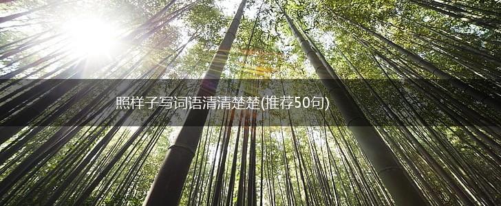 照样子写词语清清楚楚(推荐50句),第1张
