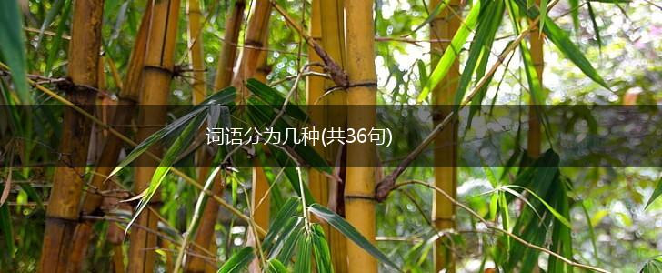 词语分为几种(共36句),第1张
