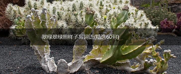 翠绿翠绿照样子写词语(精选60句),第1张 翠绿翠绿照样子写词语(精选60句),第1张