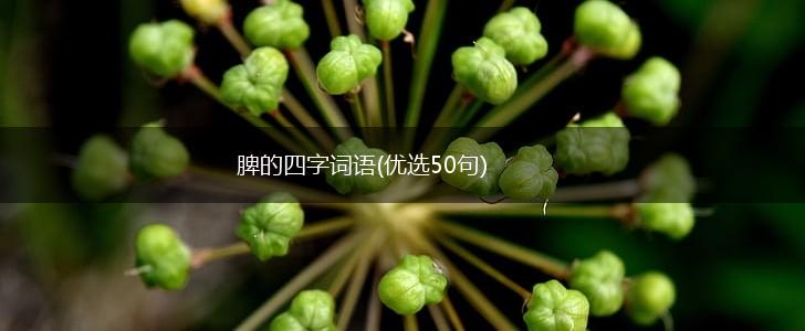 脾的四字词语(优选50句),第1张