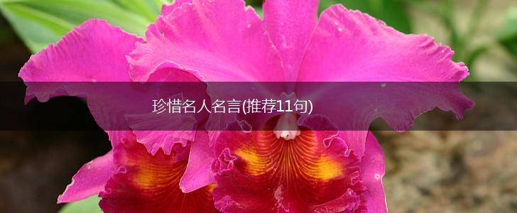 珍惜名人名言(推荐11句),第1张