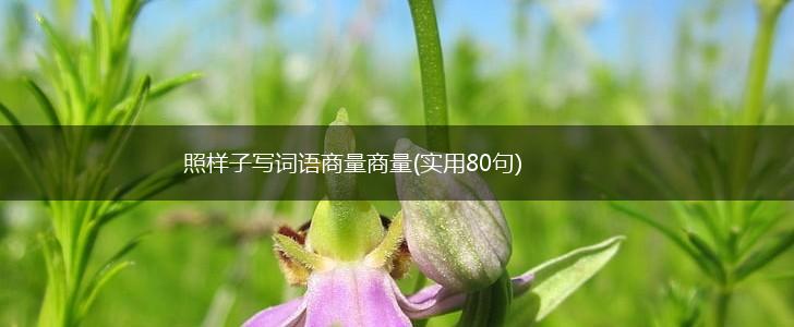 照样子写词语商量商量(实用80句),第1张