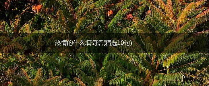 热情的什么填词语(精选10句),第1张