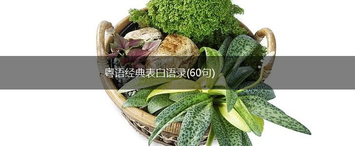 粤语经典表白语录(60句),第1张