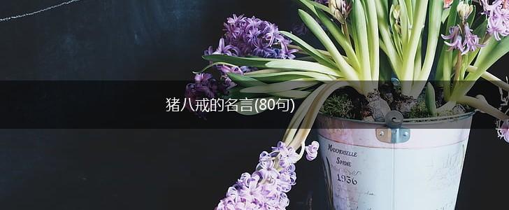 猪八戒的名言(80句),第1张