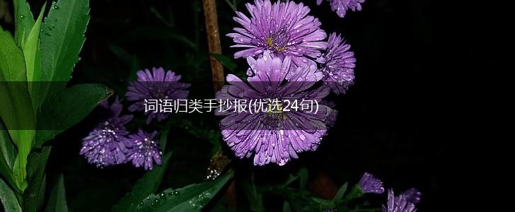 词语归类手抄报(优选24句),第1张