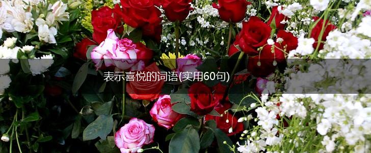 表示喜悦的词语(实用60句),第1张