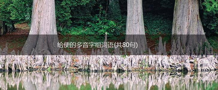 给便的多音字组词语(共80句),第1张