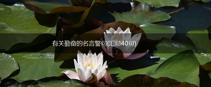 有关勤奋的名言警句(汇总40句),第1张 有关勤奋的名言警句(汇总40句),第1张