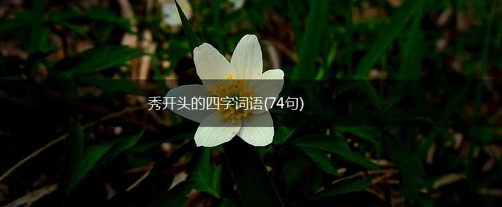 秀开头的四字词语(74句),第1张