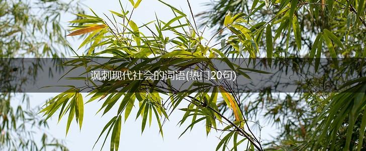 讽刺现代社会的词语(热门20句),第1张