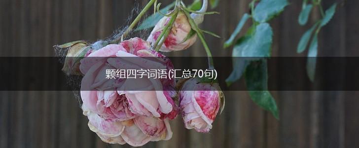 颗组四字词语(汇总70句),第1张